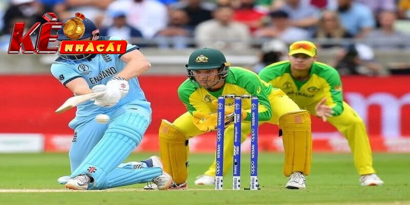 Tìm hiểu về cách chơi Cricket là gì?